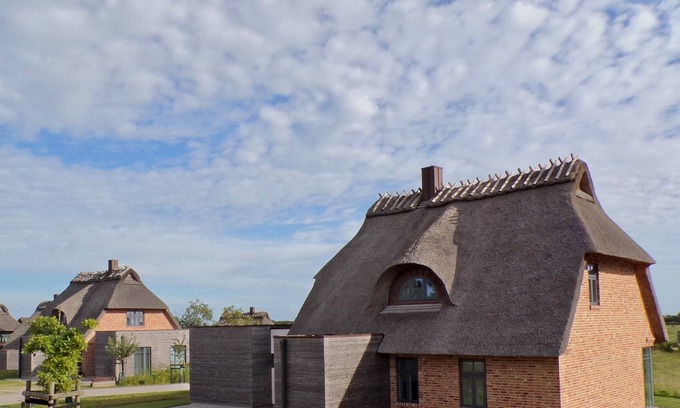 Nieby Casa | Schilfinsel das Atelierhaus Unter Reet für bis zu 8 Personen & Wildwiesenblick