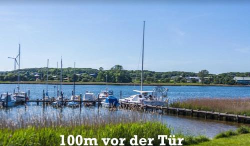 Ruckeberg Casa | Schleibungalow Nr15 zw Ostsee und Schlei