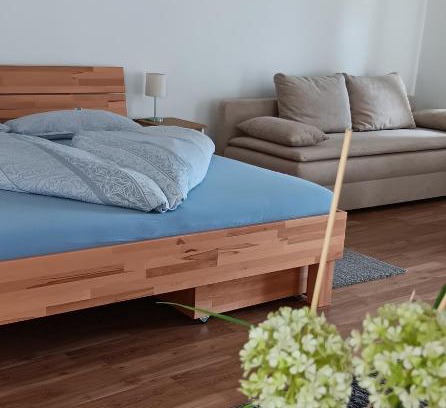 Eisenstadt Apartamento | Schloss-Appartements