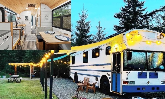 Shelton Cabaña | School Bus Olympic Peninsula PNW Adventure