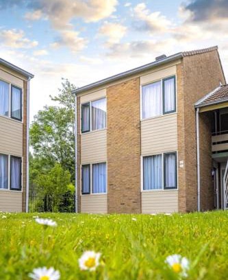 Nieuwvliet Apartamento | Schorrebloem 31
