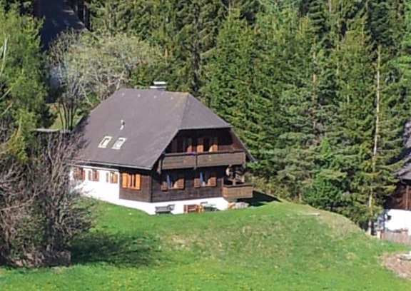 Anger Apartamento | Schweighofers Almhaus