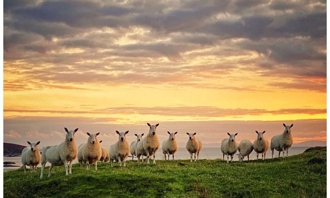 Isle of Gigha Cabaña | ISLA HOPPING DESDE LA ISLA DE ARRAN Y LA ISLA DE ISLAY