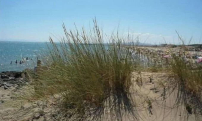 Saint-Pierre-la-Mer Casa | Sea and pool in nature park 2