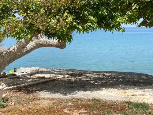 Xylokastro-Evrostina Apartamento | Sea breeze studios 2