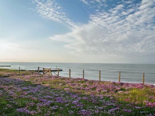 Walcott Casa | Sea Drift