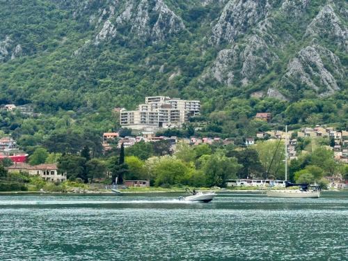 Skaljari Apartamento | Sea Glass Kotor Bay
