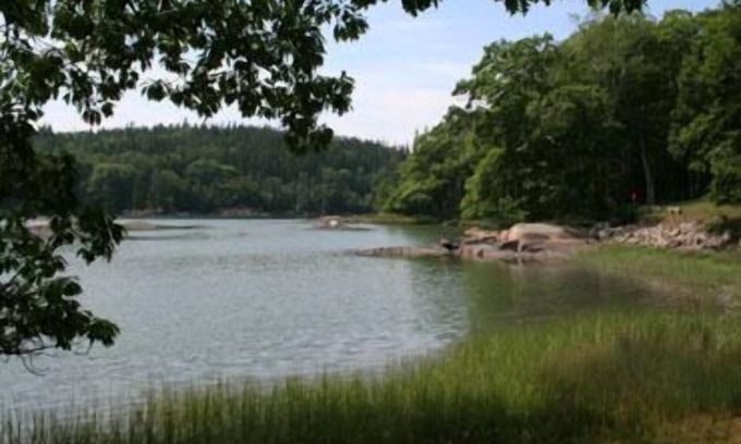 Deer Isle Casa | Sea Green Cottage - Maravilloso campamento frente al mar con mareas