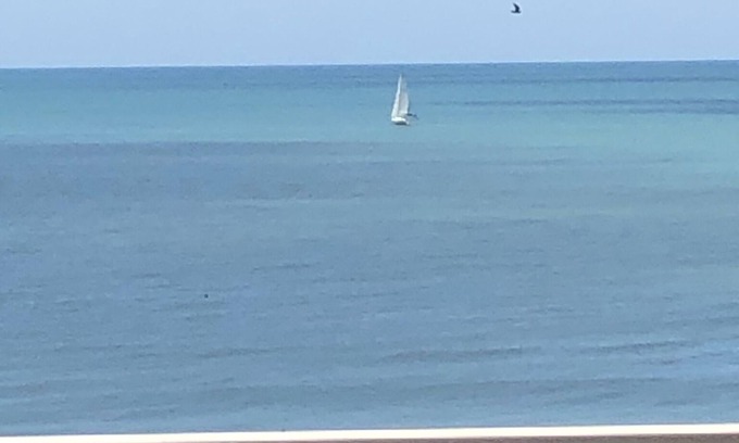 Redington Shores Condominio | Sea La Vie at San Remo