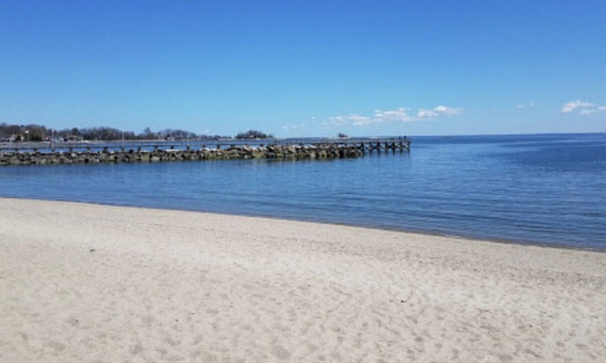 Cove - East Side - Shippan Casa | Seascape Beach Home
