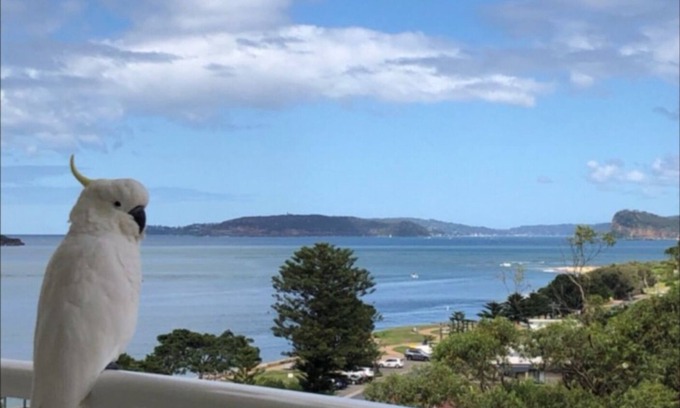 Ettalong Beach Casa | SEASHELLS - ETTALONG BEACH RESORT