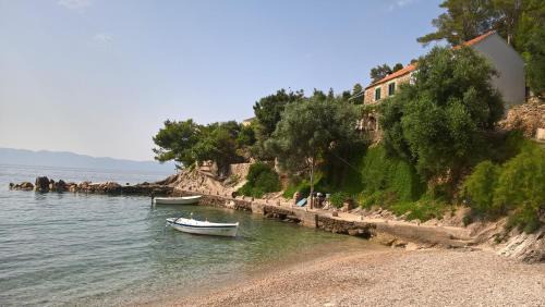Gdinj Apartamento | Seaside secluded apartments Cove Torac, Hvar - 4875
