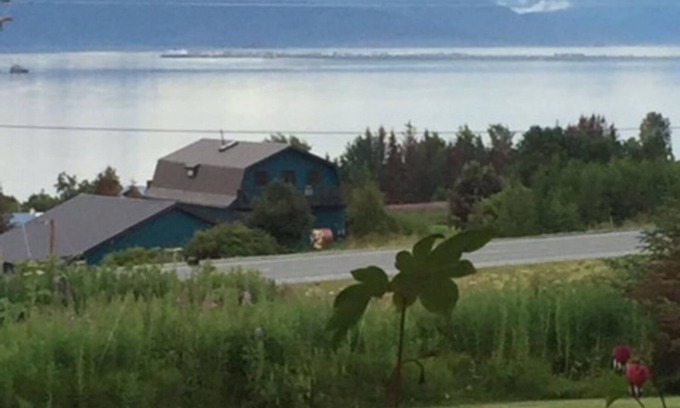 Kachemak Casa | ¡Vista marítima! ¡Increíble vista de 180 grados de la bahía de Kachemak, los glaciares y el Homer Spit!