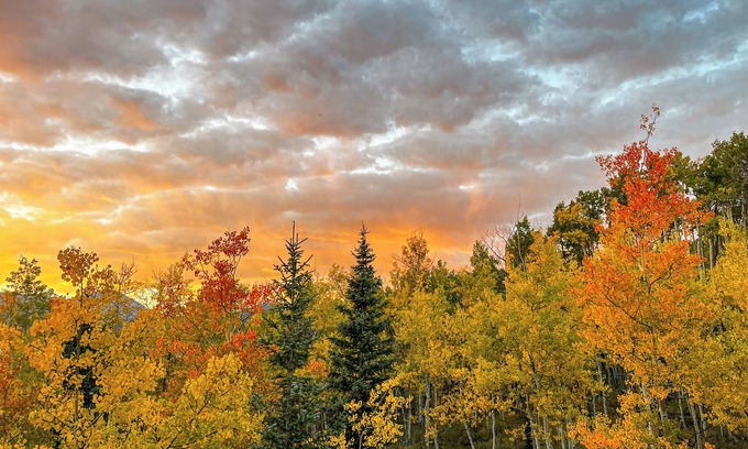 Michigan Hill Cabina | Secluded Aspen Treehouse with Incredible Views