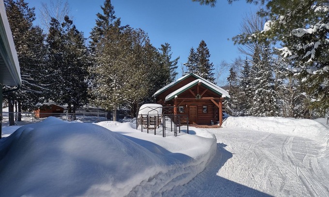 Chetek Cabina | Secluded cabin in the woods-UTV, hunting, fishing, pet friendly