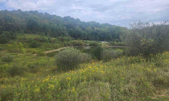 Carbon Hill Cabina | Secluded Cabin near Hocking Hills with Stocked Pond/ Hot Tub on 40 acres