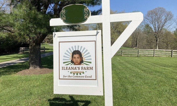 Boring Otro | Secluded Country Farm Estate