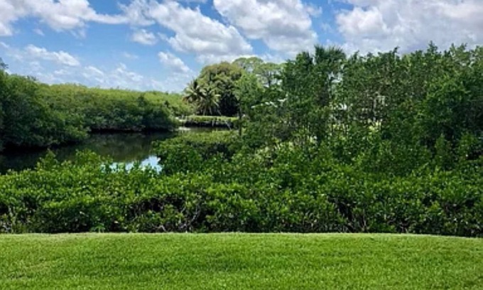 Stuart Condominio | Secluded, cozy townhome on Manatee Creek, set in historic Port Salerno.