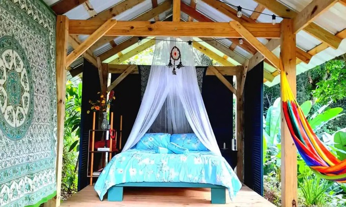 Utuado Otro | Secluded Healing Mountain Retreat @ Finca Remedio Eco Farm