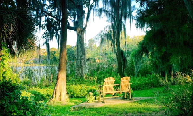 Greater Northdale Casa | Secluded Lakefront House short drive to Beaches, Busch Gardens, Stadium, Disney