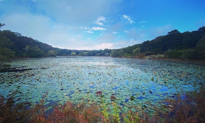 Vineyard Haven Casa | Secluded West Tisbury Retreat. Surrounded by Acres of Conservation Trails.