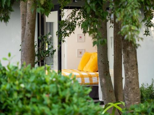 Wairau Valley Apartamento | Seedlings - at Verve flower farm