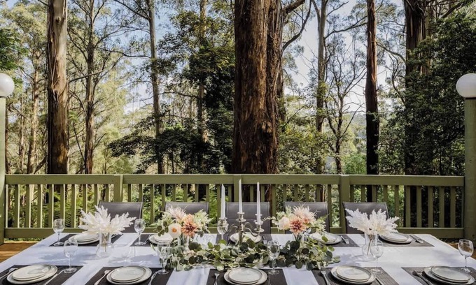 Sassafras Cabina | Seednest Treehouse | Forest & Mountain View