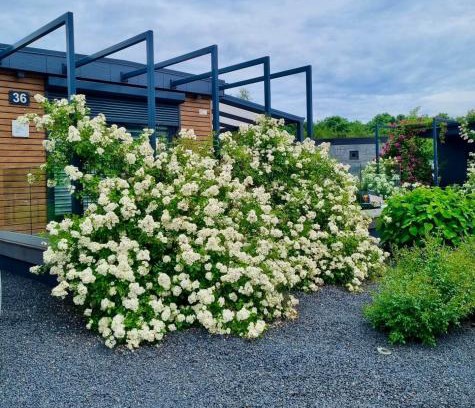 Goch Casa | Seepark Cox