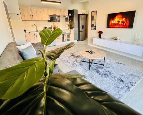 Gaborone Apartamento | Selemo Luxury Apartments