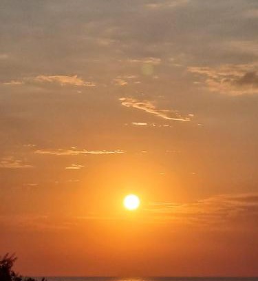 Constanta Apartamento | Selena by the sea