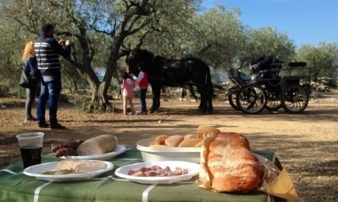 Avinyonet de Puigventos Cabaña | Casa rural (alquiler íntegro) Can Barraca para 5 personas