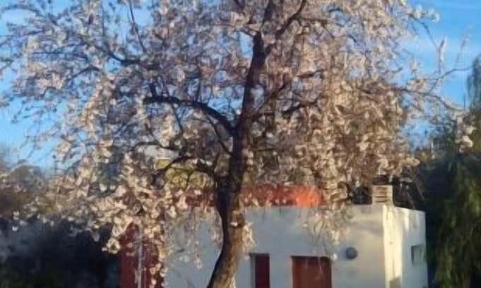 Calles Cabaña | Casa rural (alquiler íntegro) La Aldea para 4 personas