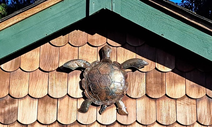 Courtenay Cabaña | Self-contained private tiny Cottage near downtown Courtenay. LGBTQ+ friendly.