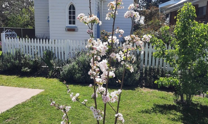 Central Mudgee Casa | Self Contained Restored Heritage c. 1914 Church