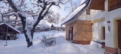 Janske Lazne Apartamento | Selina