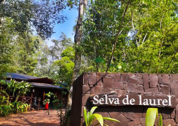 Puerto Iguazú Hotel | Selva de Laurel
