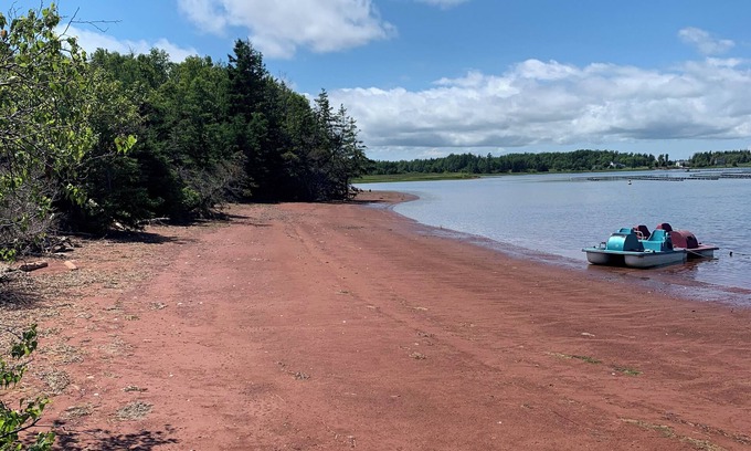 Prince County Cabaña | Semi-private beach, huge screened in deck, woods on fenced in property.