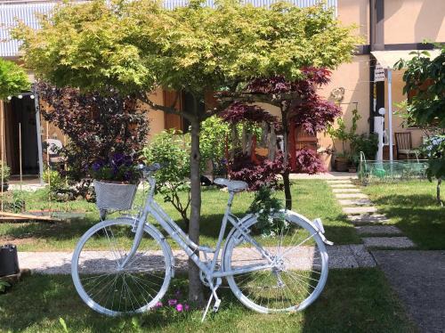 San Daniele del Friuli Cama Y Desayuno | Sensory Garden