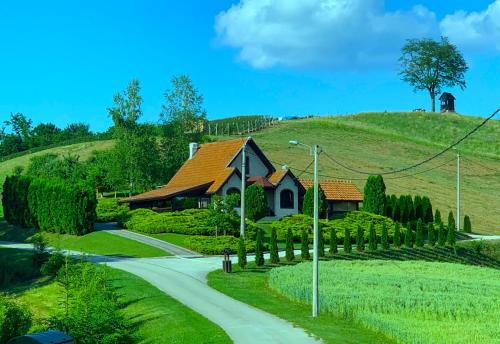 Guca Casa | Seosko turističko domaćinstvo Jolović GUČA Veles