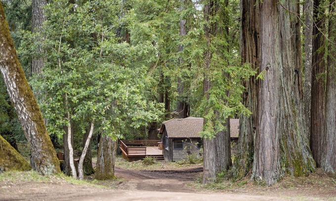 Redwood Valley Casa | Sequoia House - 3-bedroom house at Leonard Lake Reserve