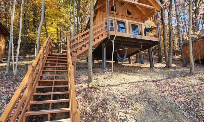 Scio Cabina | Sequoia/Lakeview 4-6 Person Midsize Cabin