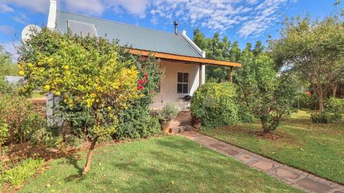 McGregor Casa | Serendipity