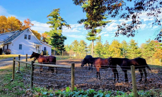 Belchertown Apartamento | Serene 1-bedroom suite on 65 acre horse property