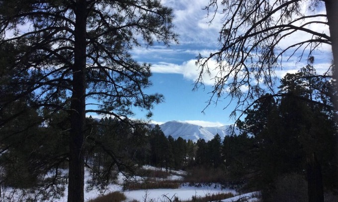 Mancos Cabina | Serene Cabin Retreat