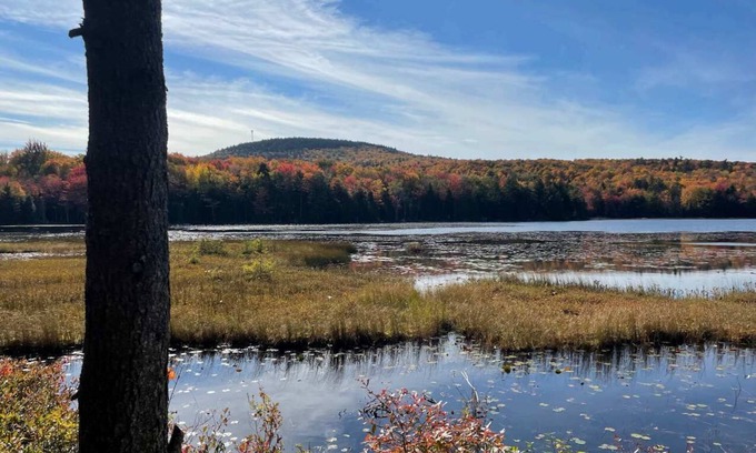Blue Hill Casa | Serene Pondside Cottage w/Private Island Camping!
