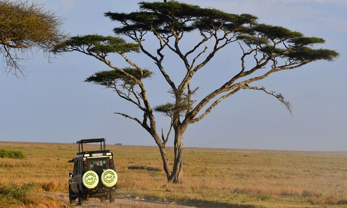 Serengeti National Park Otro | Serengeti Ikoma Wild Camp