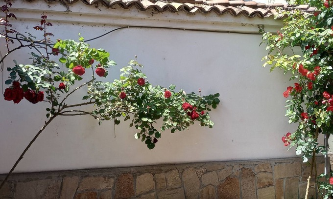 Plovdiv Center Casa | Serenity and cozines in the heart of the Old Town of Plovdiv historical reserve
