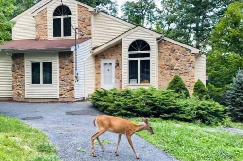 Bushkill Casa | Serenity Falls - Stylish 4Bdr Mountain Retreat, Hot Tub, Pool