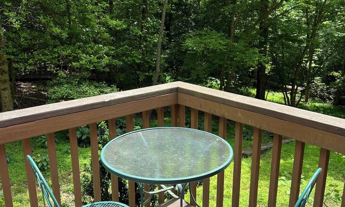 Brevard Casa | Serenity Home - Forest, Fun, and Adventure