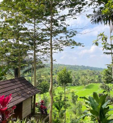 Tetebatu Casa | Serenity Lodge Tetebatu Lombok